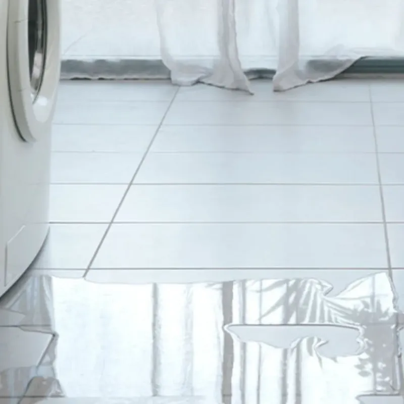 Appliance Leak Cleanup in Highview, KY