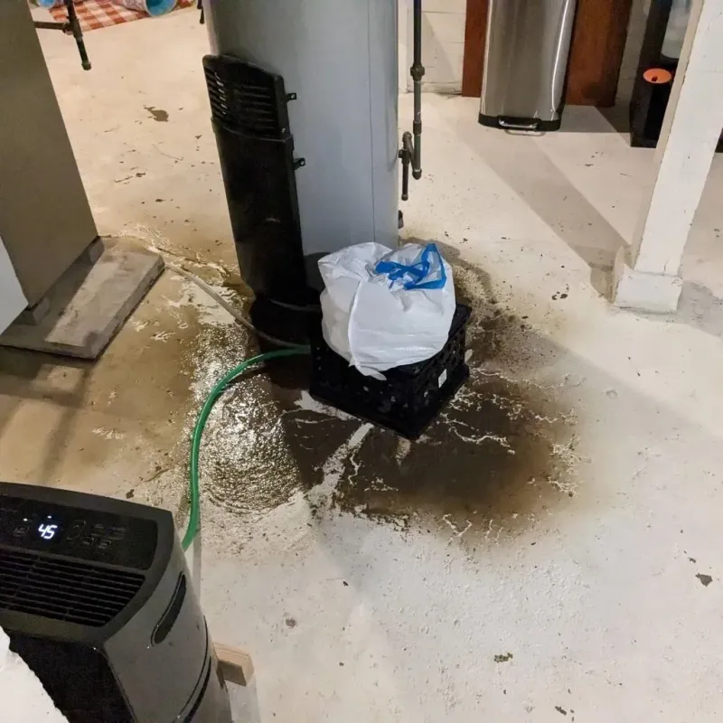 Sewage Backup Cleanup Service in Highview, KY